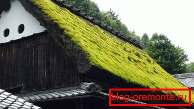 Tradicionalni norveški krovni krovovi