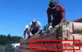 Upotreba mahovine za zagrijavanje. Upotreba mahovine za zagrijavanje.