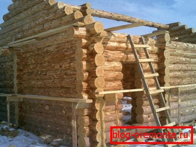 Sjeckani log Sjeckani log